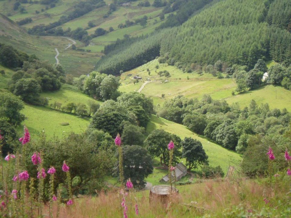 فيلا Glyn Mawr Barn بالا المظهر الخارجي الصورة